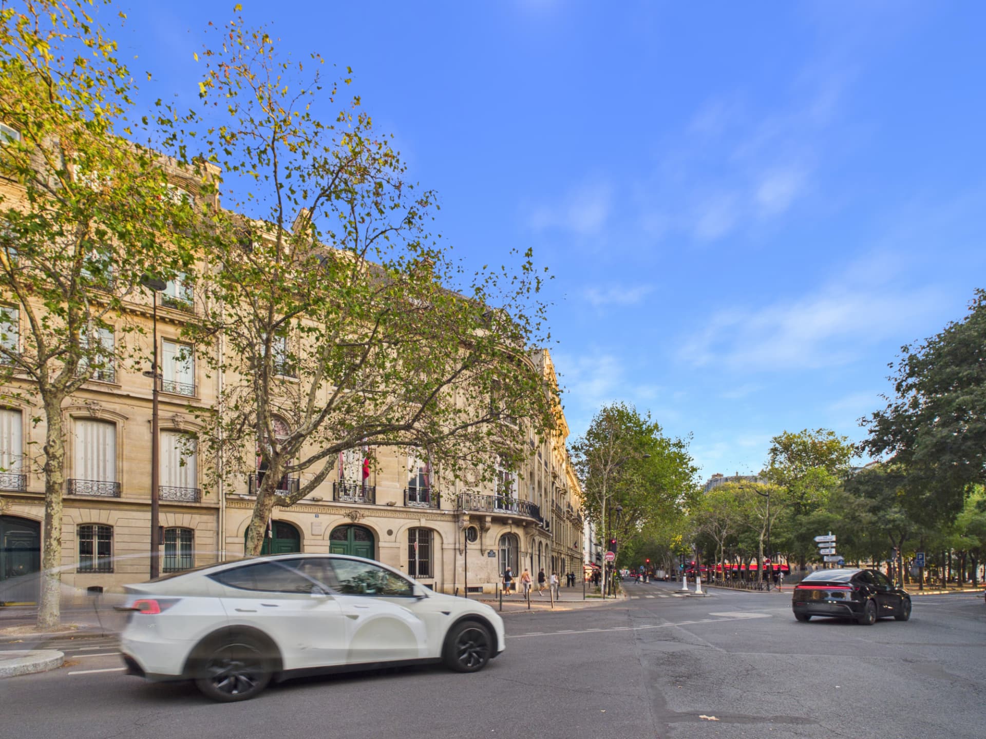 Avenue arborée bordée de façades en pierre dans le 7ᵉ arrondissement de Paris